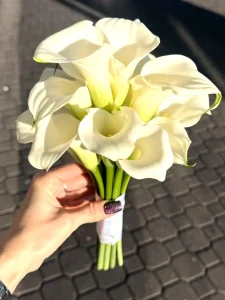 photo_2025-02-05_21-39-58