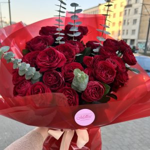 Róża i Eukaliptus