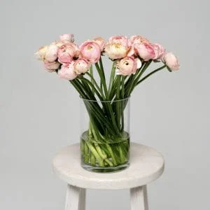 Jaskry - BUKIETY ORGANICZNE | Kwiaciarnia Milosc Warszawa