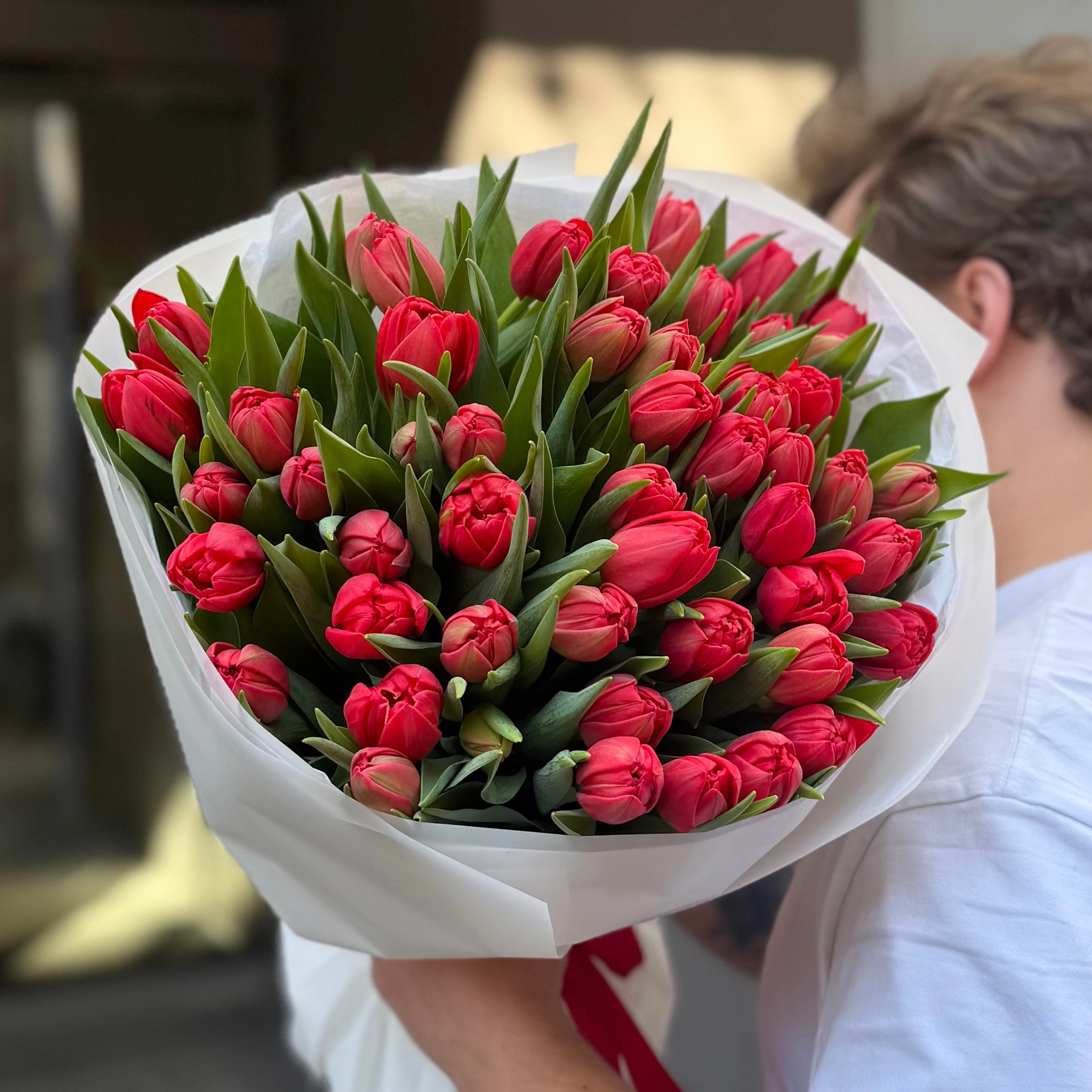 Tulipan Pełny – Rouge