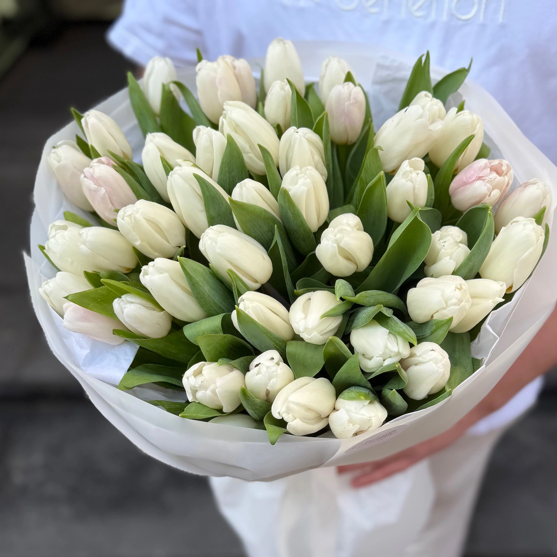 Białe tulipany - obrazek 3