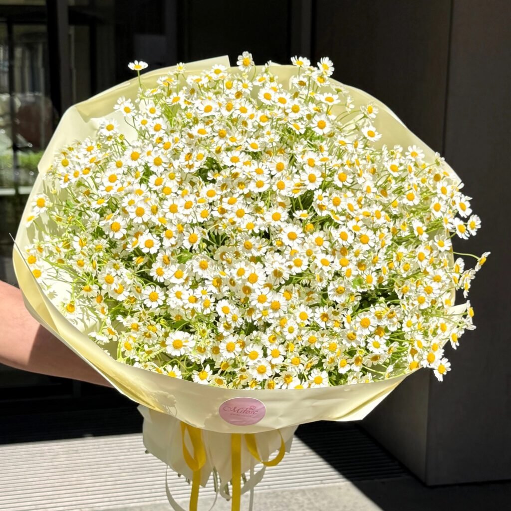 Petit Soleil - Bukiet rumianków — Kwiaciarnia Miłość Warszawa